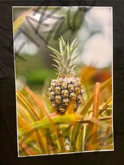 1 of 1 DOUPHU Pineapple Photo SIGNED Print Original Autographed ansel adams art
