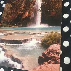 11 x 14 vintage photo print