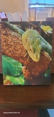 11x14in Canvas Print For Sale
