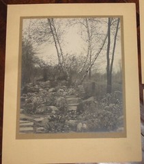6 Vintage Signed Matted Sepia Photographs ~ Montclair NJ Botanical Gardens L2