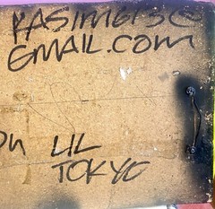 Original Photo Of TATIANA VON DER SCHULENBERG Little Tokyo Art Piece SIGNED
