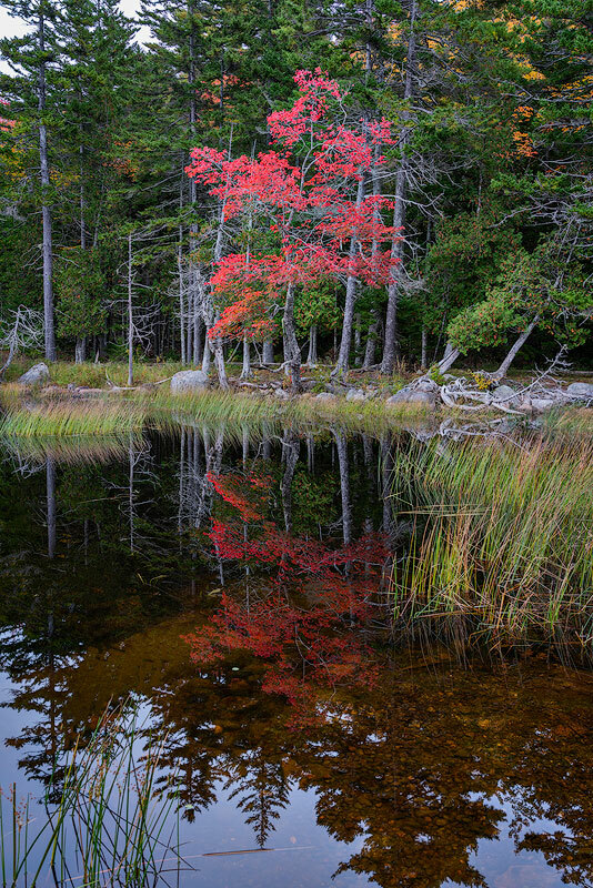 Fall reflection, Maine Cerca Trova limited edition Fine Art Photography