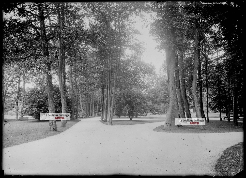 Antique Glass Plate Photo Black and White Negative 13×18 cm Vittel Park