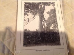 Vtg Antique Africa Photographs Signed J K Nature Waterfall Tree Bridge Swahili 7