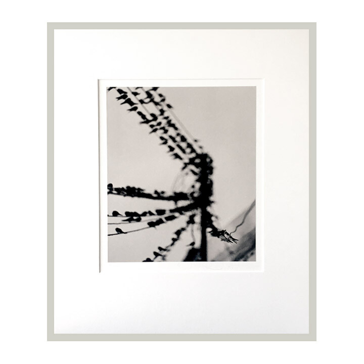 William Scott Fine Art Archival Photograph