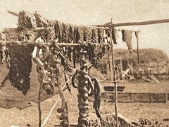 Edward S. Curtis “In Camp” c1908 Original Photogravure on Japanese Tissue 7×5