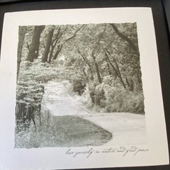 Framed Matted B&W Landscape Road Trees Photo Print Quote «lose yourself»
