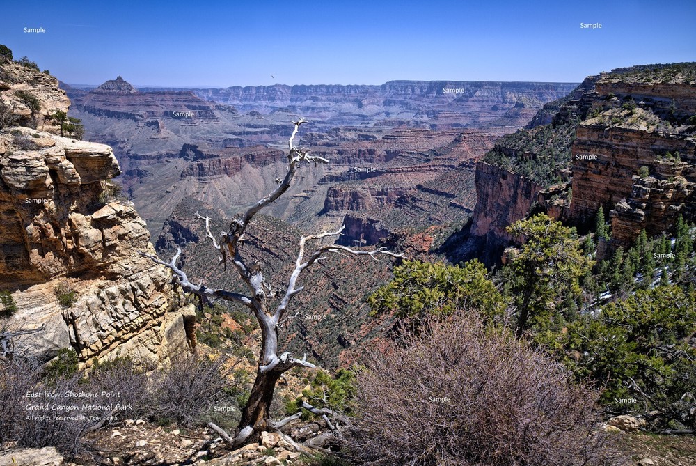 Grand Canyon National Park Shoshone Point Arizona Poster Photo Print GC12