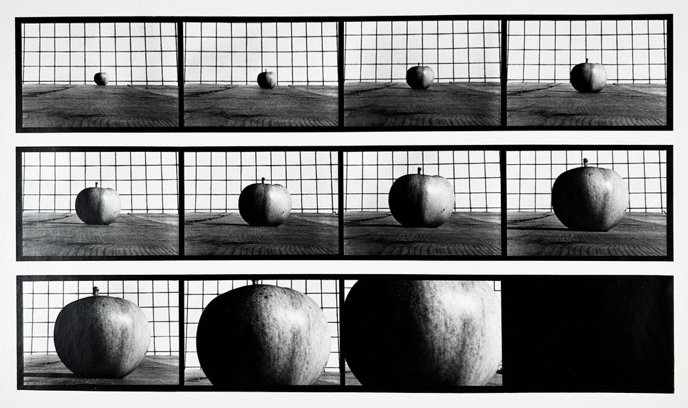 Hollis FRAMPTON & Marion FALLER: Apple Advancing, Vegetable Locomotion 1975