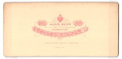 Stereo Photography Alois Beer, Klagenfurt, View Salzburg, Böckstein against Nas