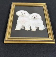 Vtg Original Framed Portrait White Maltese Dogs Gold Color Wood Ready To Hang