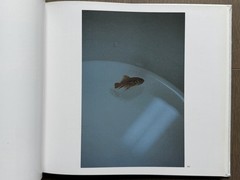 🎈Signed! Daido Moriyama – Color 2, 1999 Limited Edition, HC, Slipcase SupRARE!