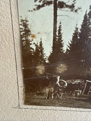 Superb Vintage Adirondack Photo House In The Pines