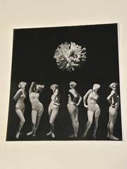 Robert Jonas Woman Montage Photograph ~ NYC Surrealist Artist ~Original Vintage