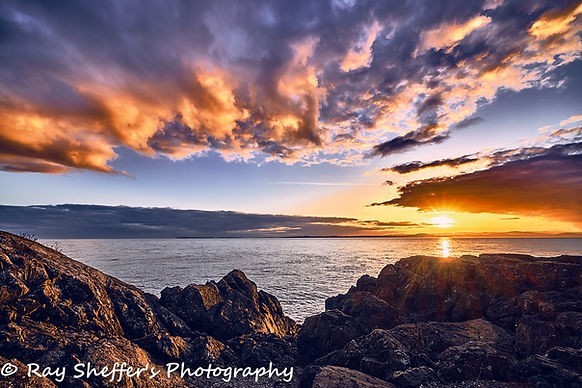 photographic images art