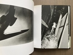 🎈RARE! +Bonus! Daido Moriyama: Stray Dog, 1999, SF Museum Of Modern Art