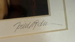 NEW Signed Todd Lundeen Photographic Triptych – India, China & Thailand – 28”