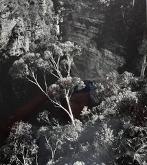 DR KC BROWN AUSTRALIAN LARGE PHOTOGRAPH B&W «GHOST GUM BELOW THE CLIFFS» 1980
