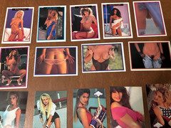 Vintage Adult Trading Cards lot (25) Hot Shots Bench Warmer+
