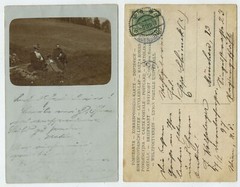 85627 – Summer freshman on the meadow – photo as postcard, Vienna 6.10.1906