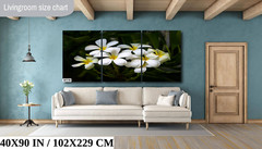 Blooms of Eternity: Hawaiian White Plumeria Flower Photography Wall Art Nature