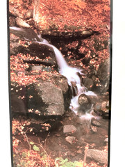 Joseph Barnett Photography Set of 2 Signed Autumn Themed Nature Framed Photos