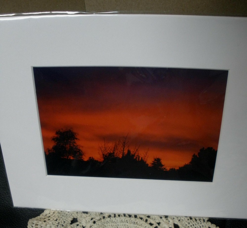 Sunset Photo Trees with an 8 x 10 Mat ~ Local NH Photographer