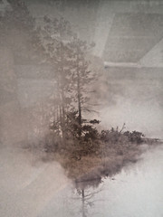 Art Photography High Quality Print Signed Matted Wood Framed Vint Excellent