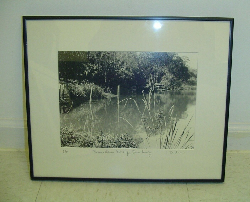 ART Photography «Bueno Arm Wildlife Sanctuary» Lake- L. Santucci Frames 16x13in