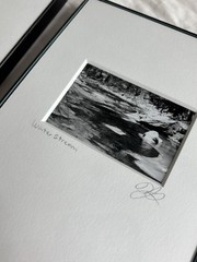 3 Black & White Minimal Modern Framed Photo Art Nature Titled Artist Signed