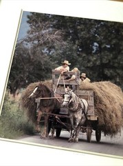 Bill Coleman Amish Children “Wide Load” 4/350 Numbered Framed Photograph