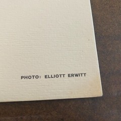 Vintage Photograph Print/ Plate- Elliot Erwitt- «Motherless Child.- 12 x 12-