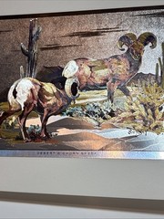 Sportsman’s portfolio SHINY color-etch prints by Fred Sweney Sheep Fish Ducks