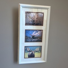 Signed Moose Nature Photography – Set of 3 Bull Moose 23×12 Frame 5×7 Pictures