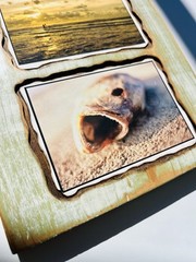Custom wood Piranha beach photography art home deco by Steve Harris