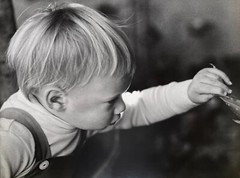 DR KC BROWN AUSTRALIAN LARGE PHOTOGRAPH B&W «YOUNG DAVID» 1980