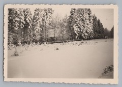Buntenbock Clausthal-Zellerfeld 1949-residential building winter-old photo 1940s