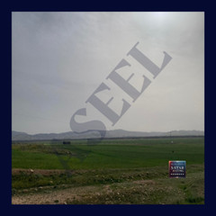 Expansive Siliana Fields – Ideal for Nature and Landscape Enthusiasts -23-4