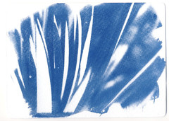 🎁 Set 13: All Handmade Photographic Cyanotype Greeting Cards Set of 12pcs 🎁