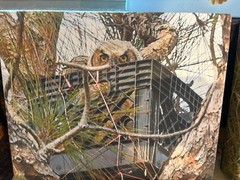 Wall Art Printable Image Bird Wildlife Pics Acrylic Canvas Painting Wall Decor