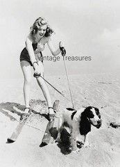 Marilyn Monroe Skiing with her Dog Photo Print Poster Wall Art