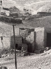 DOROTHEA LANGE Egyptian Village (1962) Large Silver Gelatin ex-MoMA Collection