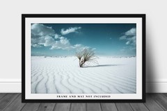 Yucca Plant Photography Print: New Mexico White Sands Desert Southwest Photo