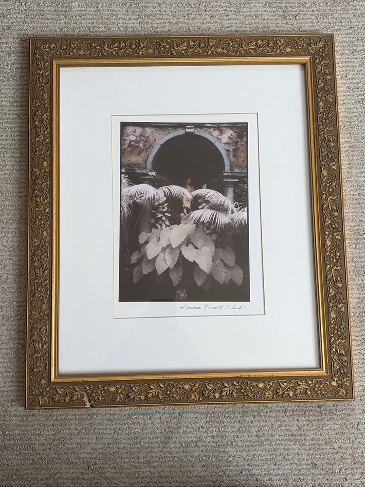 Sandra Russell Clark Framed/Matted Monochromatic (Purple-tones) Garden Photo – 2