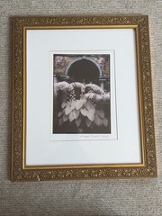 Sandra Russell Clark Framed/Matted Monochromatic (Purple-tones) Garden Photo – 2