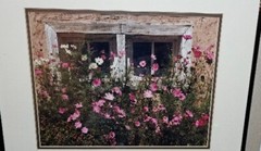 Michael Stipek Signed Photo Print “cosmos” Art Photograph 16×20″ Matted Frame