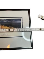 Mark Bergsma Signed Art Framed Photograph Lighthouse Dog “Waiting For My Friend”