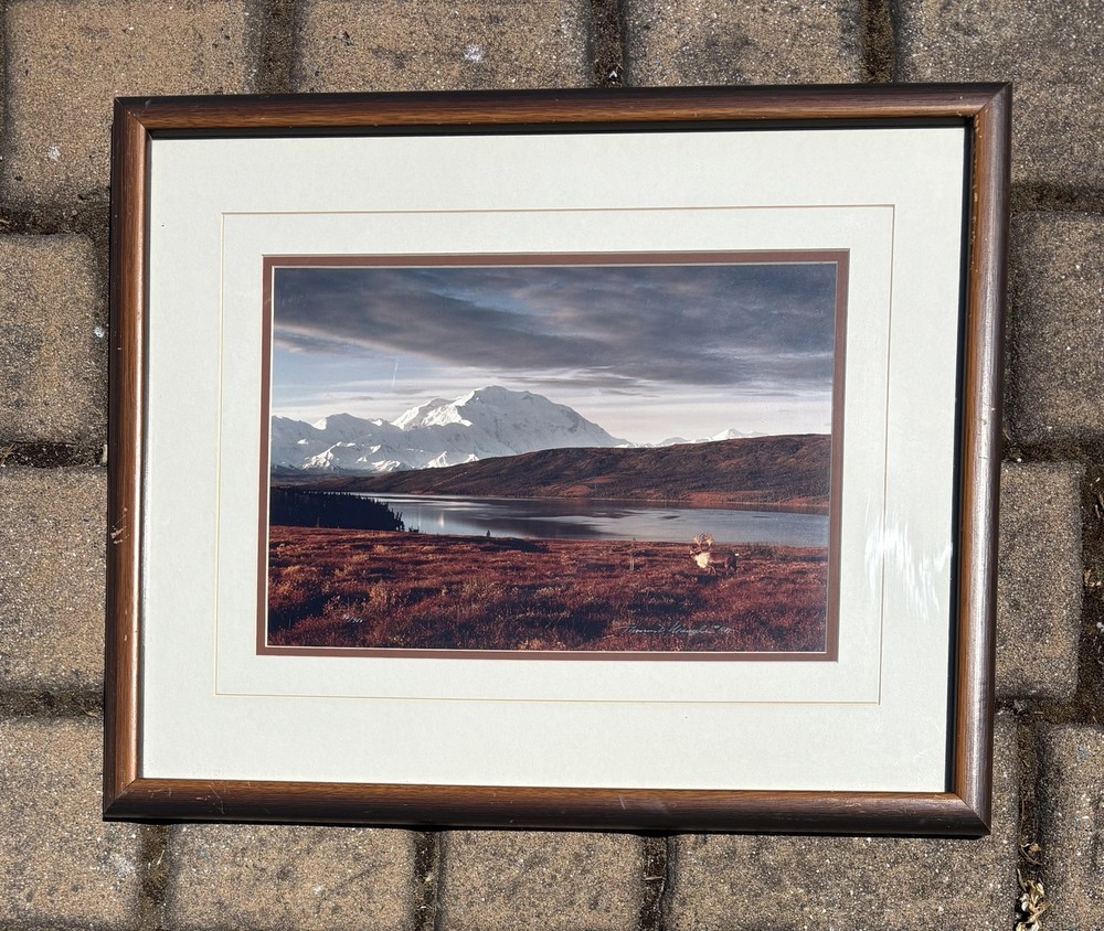 thomas mangelsen signed photos, Denali Morning Caribou, Out of Print