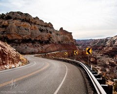 Grand Staircase Escalante National Monument Calf Creek Falls Area Fine Art Print