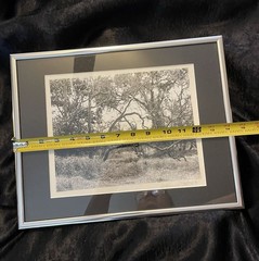 Vintage hand signed original photograph Sycamore Grove Livermore, CA 1996 14×11
